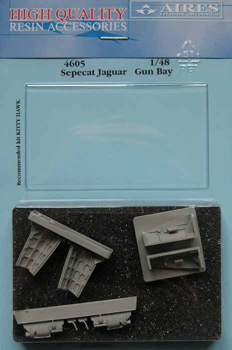 1/48 Sepecat Jaguar gun bay (KITTYH)