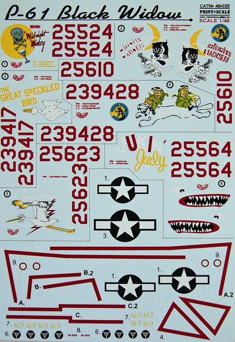 1/48 P-61 Black Widow Part 2 (wet decals)